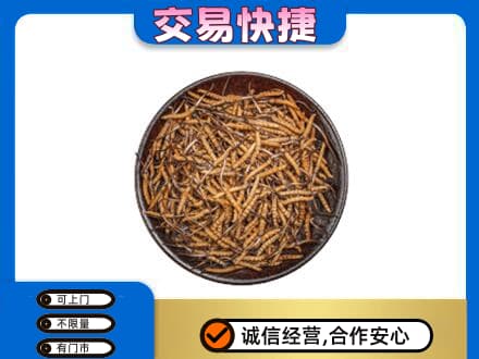 昌都市八宿回收散虫草